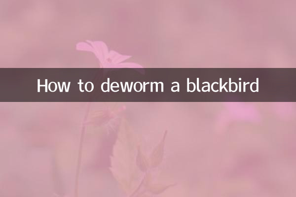 Cómo desparasitar a un mirlo