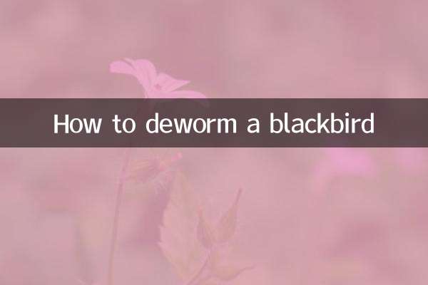 Cómo desparasitar a un mirlo