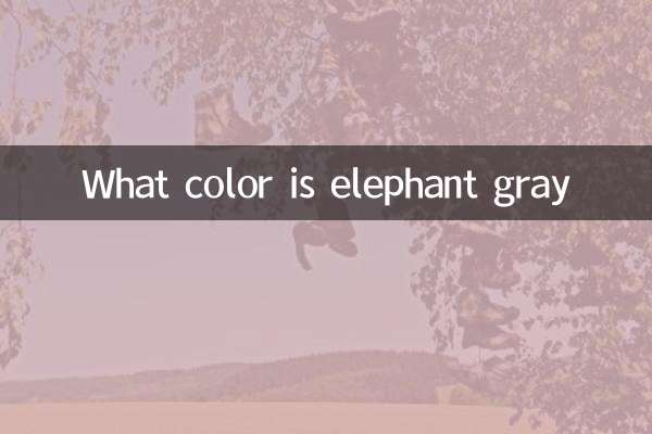 Quelle couleur est le gris d'éléphant