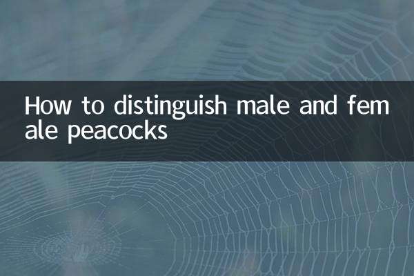 Come distinguere i pavoni maschili e femminili