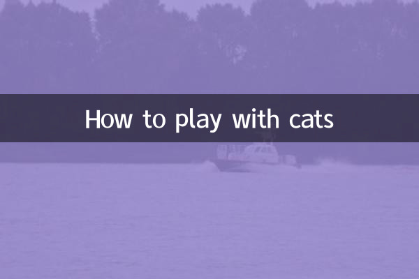 How to play with cats