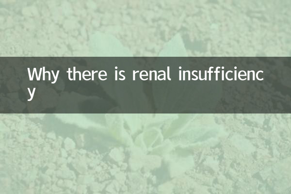 Why there is renal insufficiency
