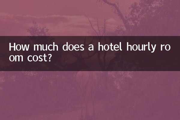 ¿Cuánto cuesta una habitación de hotel por hora?