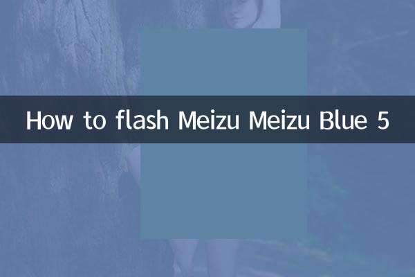 Meizu Meizu Blue 5를 플래시하는 방법