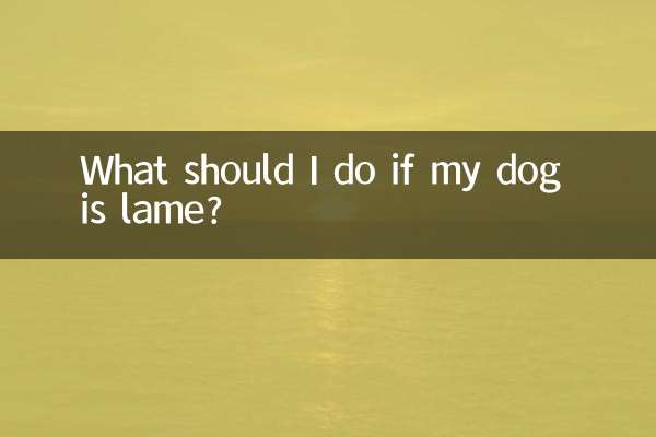 Was soll ich tun, wenn mein Hund lahmt?