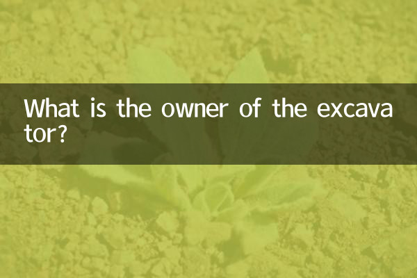 کھدائی کرنے والے کا مالک کیا ہے؟