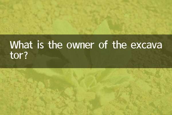 کھدائی کرنے والے کا مالک کیا ہے؟