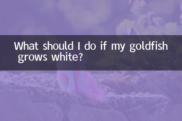 What should I do if my goldfish grows white?