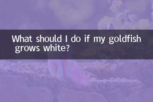 What should I do if my goldfish grows white?