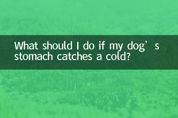 犬のお腹が風邪をひいた場合はどうすればよいですか？