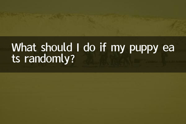 ¿Qué debo hacer si mi cachorro come al azar?