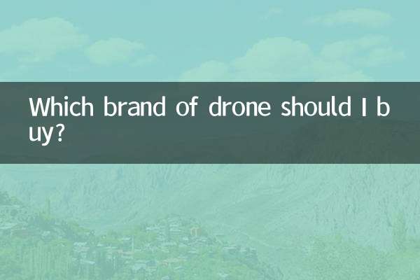 मुझे किस ब्रांड का ड्रोन खरीदना चाहिए?