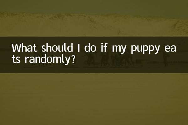 Was soll ich tun, wenn mein Welpe willkürlich frisst?