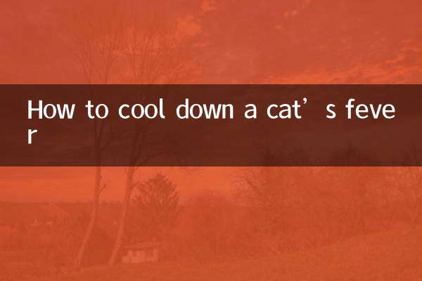 Comment calmer la fièvre d'un chat