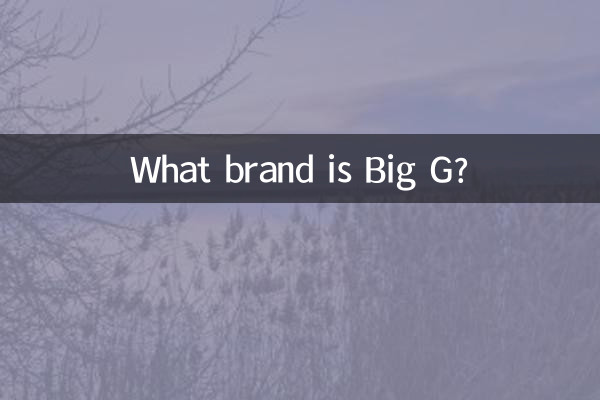 빅G는 어떤 브랜드인가요?
