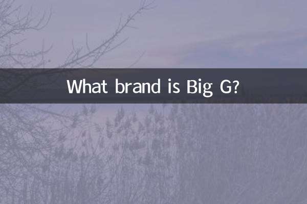 빅G는 어떤 브랜드인가요?