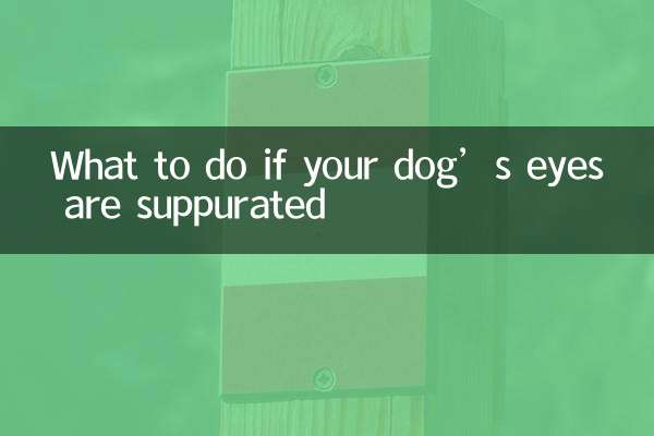 Qué hacer si los ojos de tu perro están supurados