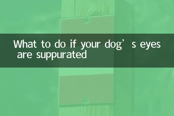 अगर आपके कुत्ते की आंखें दब जाएं तो क्या करें?