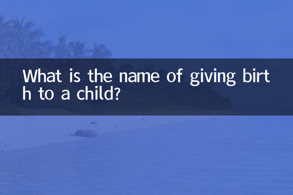 What is the name of giving birth to a child?