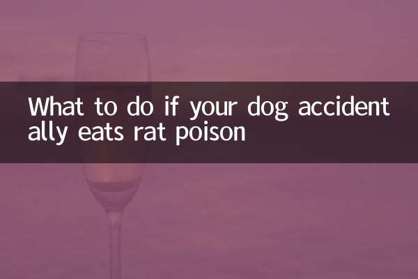 O que fazer se seu cachorro comer acidentalmente veneno de rato
