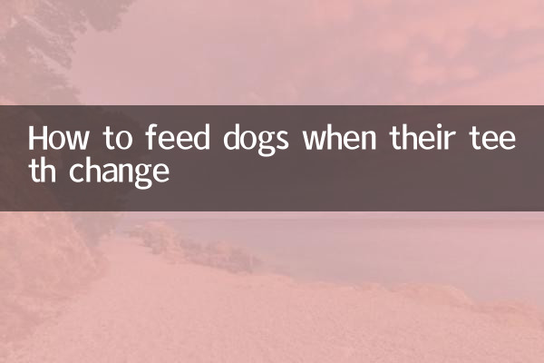 狗狗换牙怎么喂