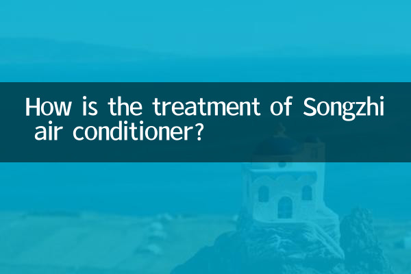 Songzhi 에어컨의 치료는 어떻게 되나요?
