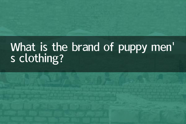 What is the brand of puppy men's clothing?