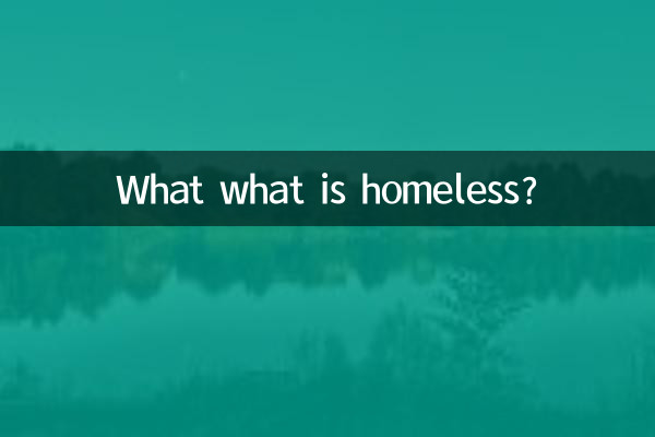 O que é sem-teto?