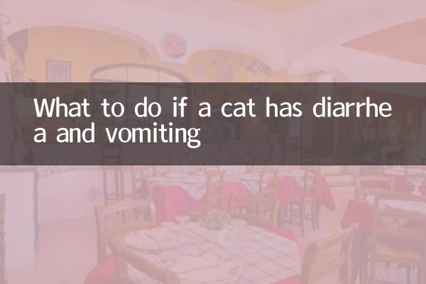 Cosa fare se un gatto ha diarrea e vomito