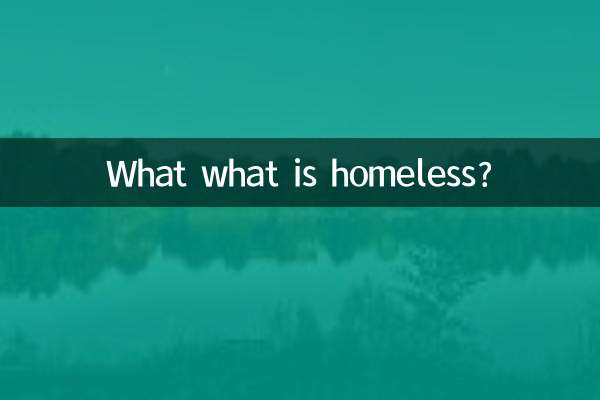 O que é sem-teto?