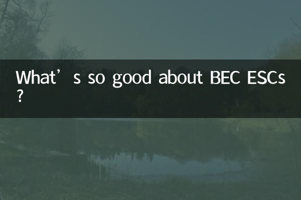 Cosa c’è di così buono negli ESC BEC?