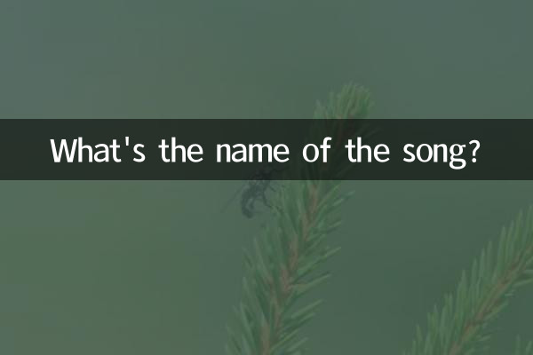 What's the name of the song?