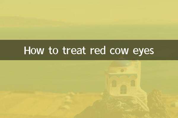 빨간 소 눈을 치료하는 방법