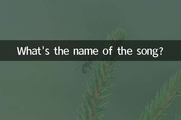 What's the name of the song?