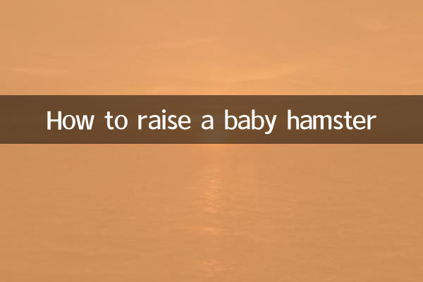 چگونه یک بچه همستر بزرگ کنیم