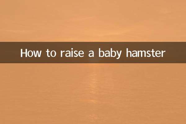 بیبی ہیمسٹر کو کیسے پالا جائے