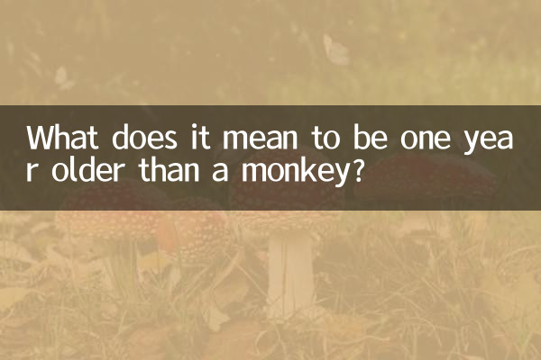 Que signifie avoir un an de plus qu'un singe ?