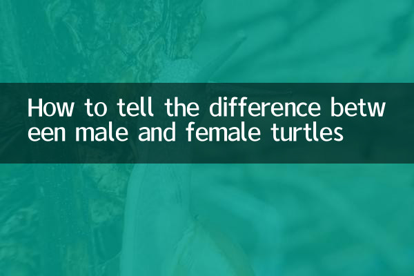 مرد اور مادہ کچھیوں کے مابین فرق کیسے بتائے