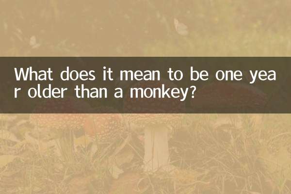 比猴大一岁属什么