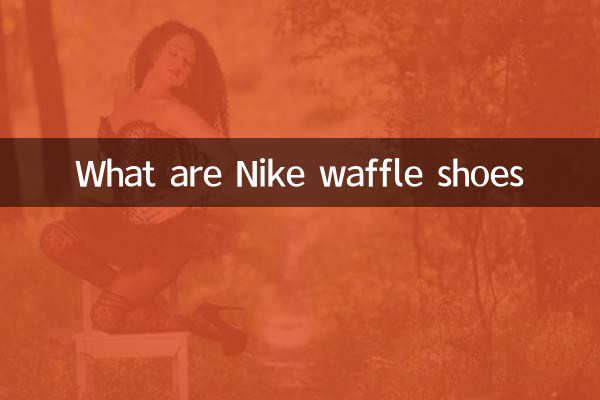 什麼是耐克華夫鞋