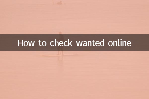 So überprüfen Sie die gesuchte Person online