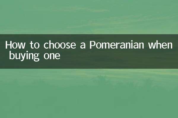 نحوه انتخاب پامرانین هنگام خرید