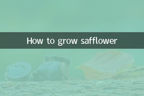 ベニバナの育て方