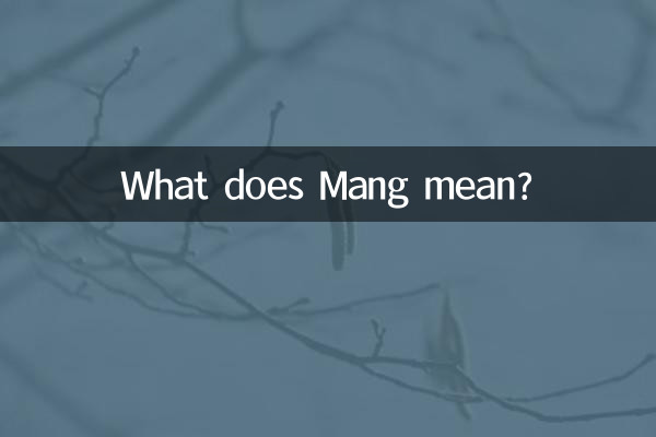 ¿Qué significa Mang?