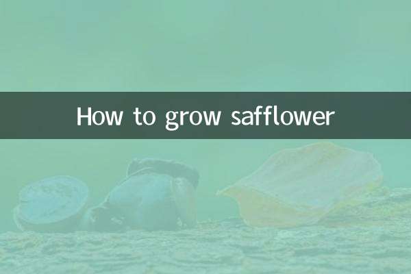 سیفلوور کو کیسے بڑھایا جائے