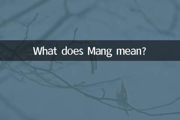 ¿Qué significa Mang?