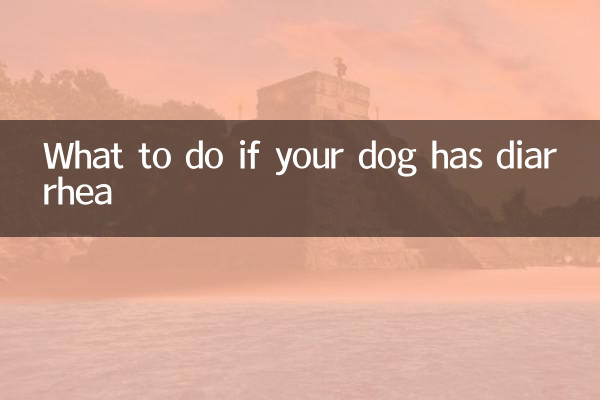 What to do if your dog has diarrhea