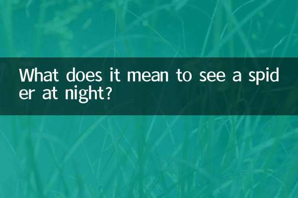 رات کے وقت مکڑی کو دیکھنے کا کیا مطلب ہے؟