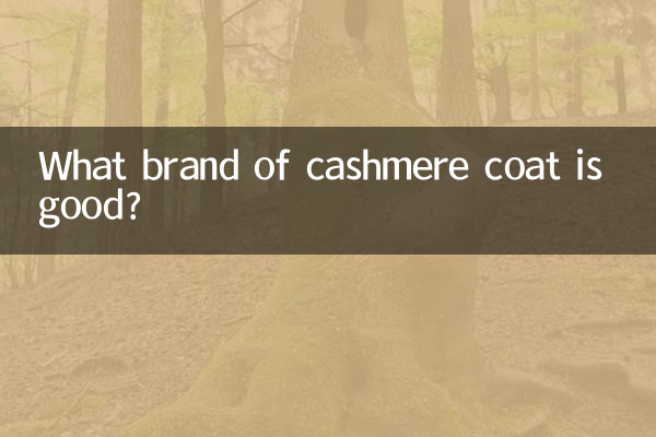 What brand of cashmere coat is good?