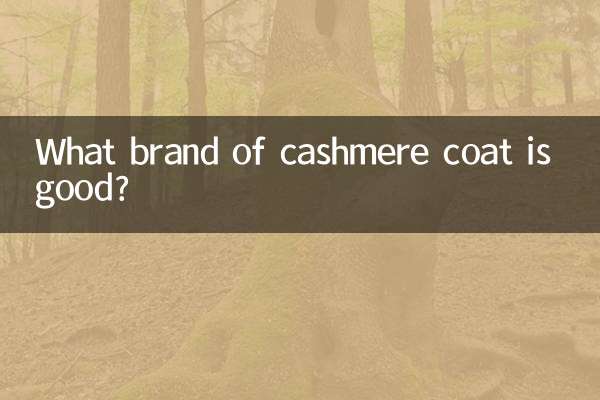 What brand of cashmere coat is good?